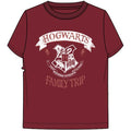 Harry Potter Hogwarts Family T Short Sleeve Tee
