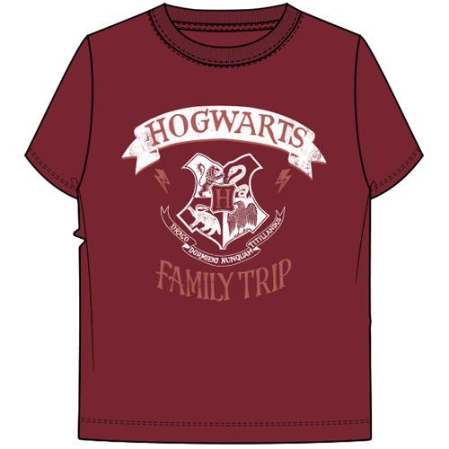 Harry Potter Hogwarts Family T Short Sleeve Tee