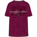 Gryffindor Script Short Sleeve Tee