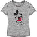 Old School Mickey Short Sleeve Top