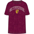Harry Potter Gryff Hoodie Short Sleeve Tee
