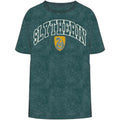 Harry Potter Slyth Hoodie Short Sleeve Tee