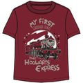 Harry Potter First Ride On Exp Short Sleeve Tee