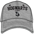 Harry Potter Alumni Hat